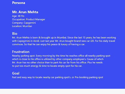 Parking App UX Persona