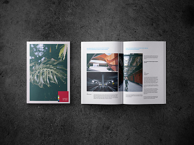 Magazine Mockup graphic design magazine print tropical
