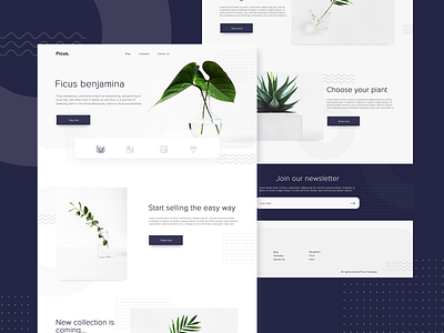 Ficus. Concept 2019 brand design flat icon landing page minimal type typography ui ux vector web website