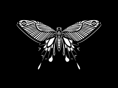 Butter Fly black and white butterfly illustration wacom