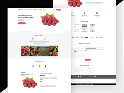 AgroOrganic agro design graphic design organic organica ui ui design ux ux design web design