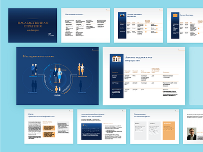 Inheritance Case Presentation design infographic presentation design
