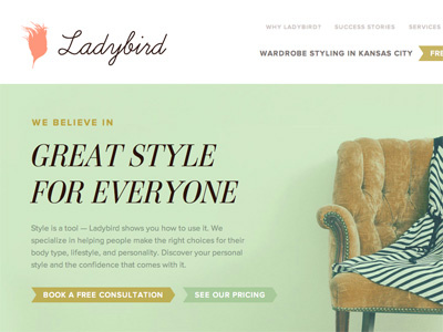 Ladybird Homepage ambroise proxima nova typekit