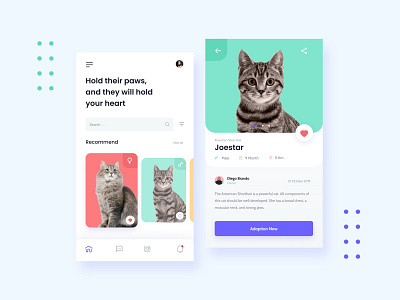 Cats Adoption App adopt adoption animal app appdesign cat design mobile mobileapp pet shelter ui ux