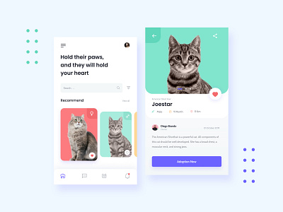 Cats Adoption App