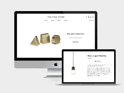 The Fine Store Web branding digital identity ui web design website