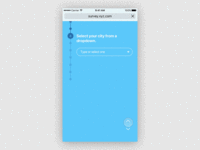 Survey Questions Transition