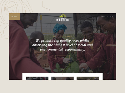 LIVE - Mount Elgon avocado cms code dennis snellenberg design elgon experience interface kirby mount orchard roses rotterdam ui ux webdesign website website design