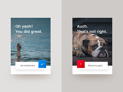 Auch. 011 cards challenge dailyui dog flash get started great message sad user interface