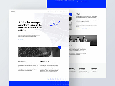 Website - Stimulus algorithm blue branding client datastream finance financial iden investment markets pattern shape sketch ui website