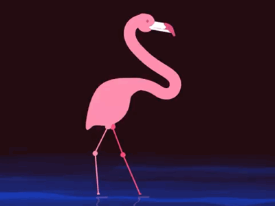 Flamingo walk