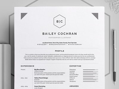 Resume/CV - 'Bailey' curriculum vitae cv design employment job portfolio professional resume template