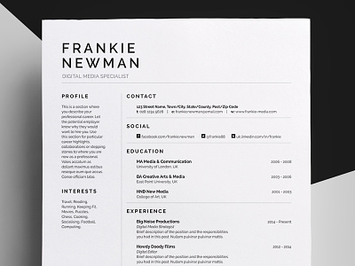 Resume/CV - 'Frankie' curriculum vitae cv design employment job portfolio professional resume template