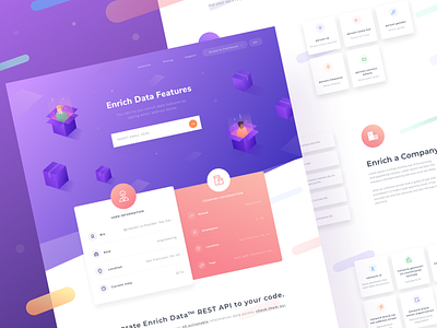 New Landing Page for Enrich Data