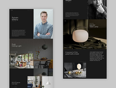 Illuminate - Designers concept design digital home interiors lighting minimal responsive ui ux website