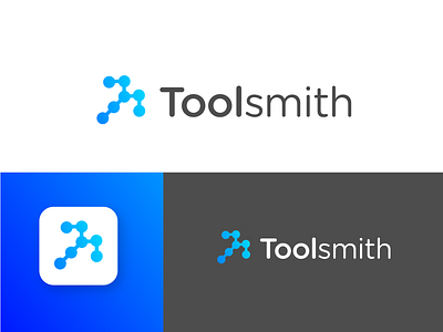 Toolsmith logo branding app branding design digital gradient icon key visual layout logo software technology typography