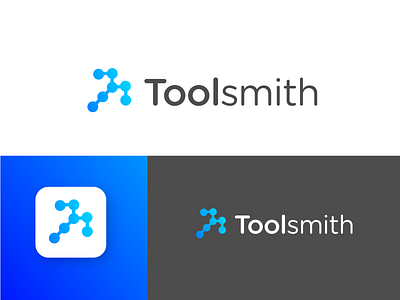 Toolsmith logo branding