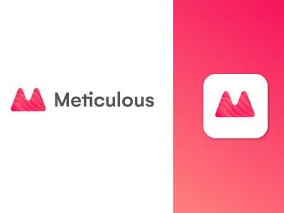 Meticulous Logo