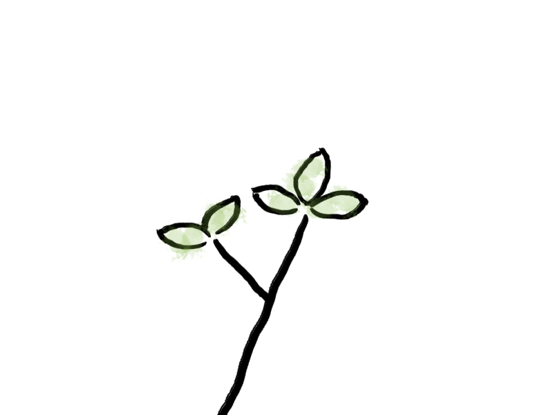 Tree Growth Animation Test