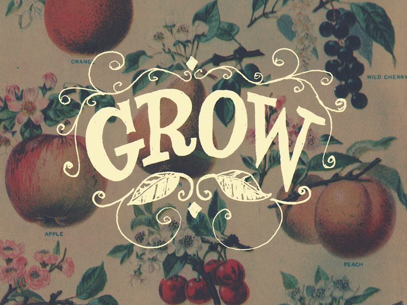 Grow Lettering by Fred Sprinkle on Dribbble