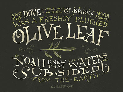 Olive Leaf - Lettering ark bible dove genesis hand lettering lettering noah olive