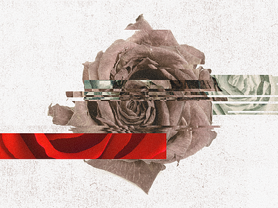 Resurrection Glitch Rose flower glitch grunge photoshop resurrection rose