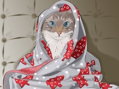 cat is cold cat comfort home illustration newyear pet photoshop plaid