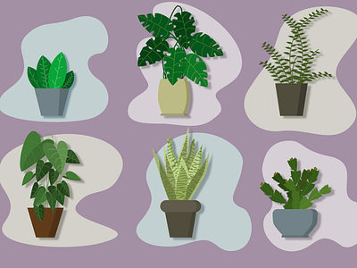 Indoor plants design flower green home illustration illustrator logo plants stick stickers
