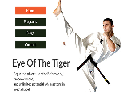 Kicking design karate ui web web design website