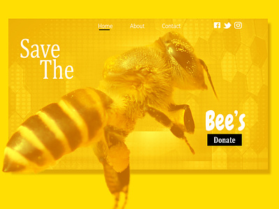 Bumble Bee bees design graphicdesign ux uxdesign web web design webdesign webdesigns