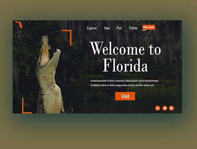 Alligator design graphicdesign ux uxdesign web webdesign