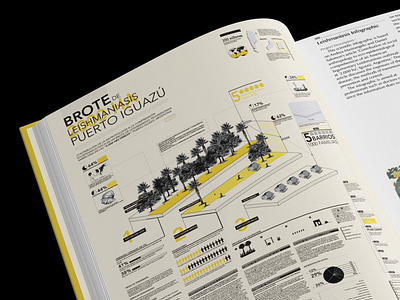 Leishmaniasis Infographic book editorial design infografia infographic information design