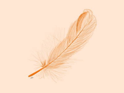 Feather apple pencil feather illustration orange procreate sketch