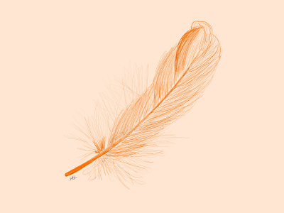 Feather