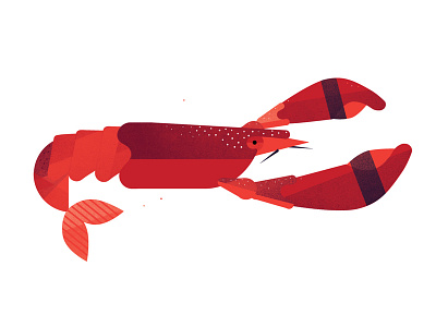 Lobster food geometric graphic illustration lobster red texture