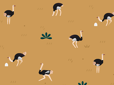 Ostrich Pattern animals birds desert illustration ostrich pattern sahara sand