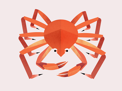 Monocle 79 | Snow Crab alaska crab fish illustration monocle nature seafood texture