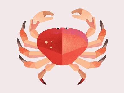 Monocle 79 | Dungeness Crab alaska crab fish illustration monocle nature seafood texture