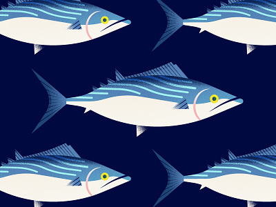 Bonito animals bonito fish illustration japan