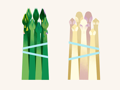 The Greenery | Asparagus asparagus food illustration texture vegetables