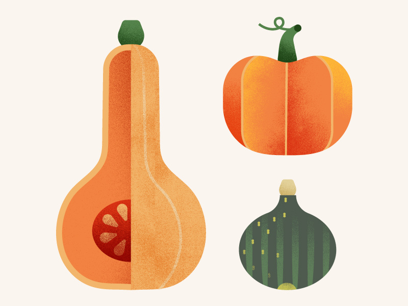 The Greenery | Pumpkin & Squash texture vegetables food illustration squash pumpkin