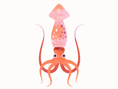 Californian Sea Creatures | Squid animals fish illustration squid texture