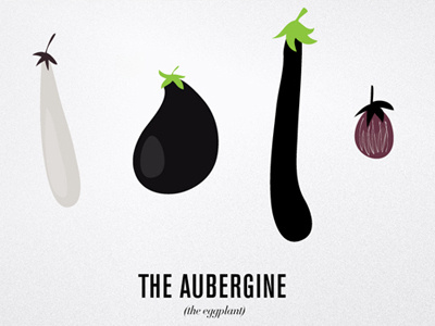 Types of aubergines aubergine food illustration vegetable