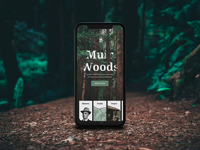 Exploring The Forest + After Effects Tutorial 3d after effects animation browse card cinema 4d device discover explore forest gyroscope interaction landing menu nature navigation parallax photography tutorial ui