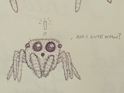Am I Cute Now? cute spider illustration sketch spider