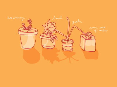 Way to plant, Ann. illustration orange plants