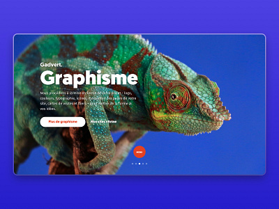Gadvert Agency - Webdesign agency website blue chameleon graphism ui ux userinterface ux design webdesign