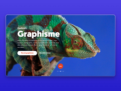 Gadvert Agency - Webdesign