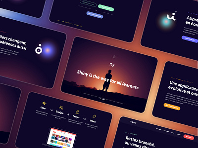 Persona - "Shiny is the path for all learners" app design branding design digital design edtech illustration ui uidesign ux webdesign