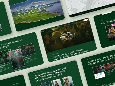 Molly Malone - Irish Pub - Webdesign beer branding irish irishpub landing page uidesign ux design uxdesign web design webdesign